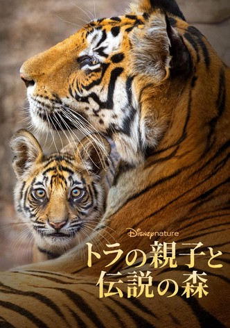 トラの親子と伝説の森
