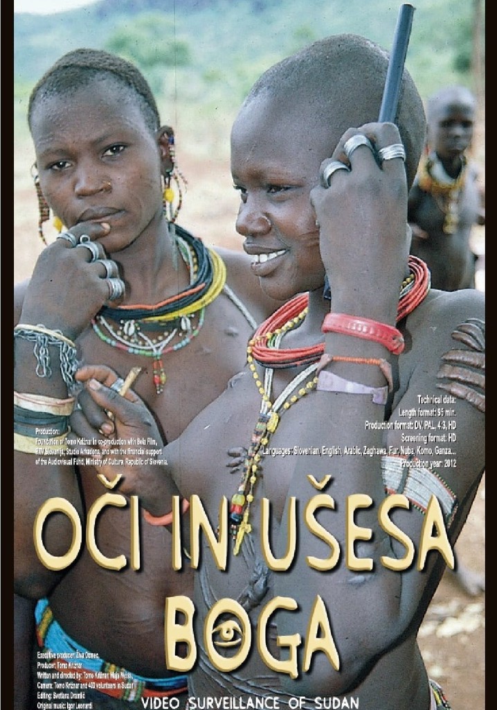 Eyes and Ears of God: Video Surveillance of Sudan