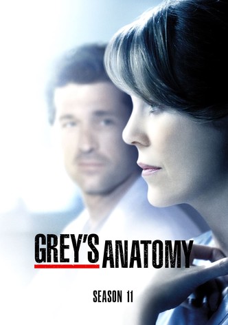 Grey's Anatomy - Staffel 11
