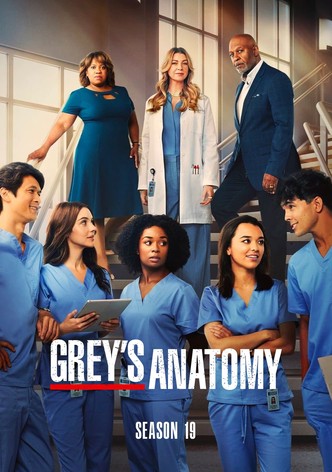 Grey's Anatomy - Staffel 19