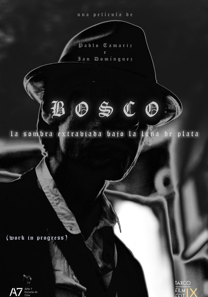 Bosco: La Sombra Extraviada Bajo la Luna de Plata