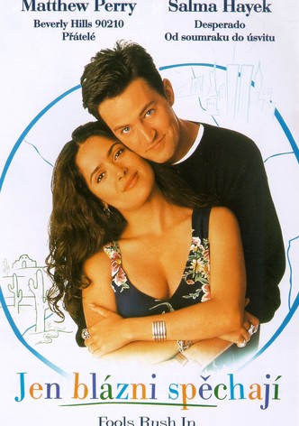 Jen blázni spěchají