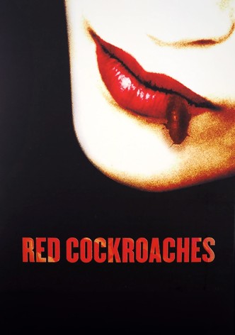 Red Cockroaches