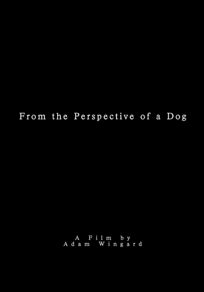 From the Perspective of a Dog