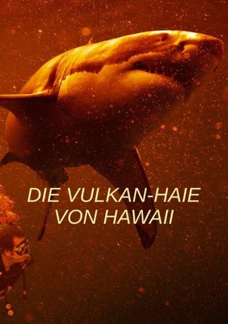Die Vulkan-Haie von Hawaii