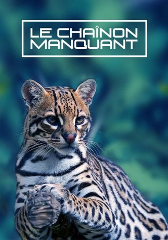 Le Chaînon Manquant