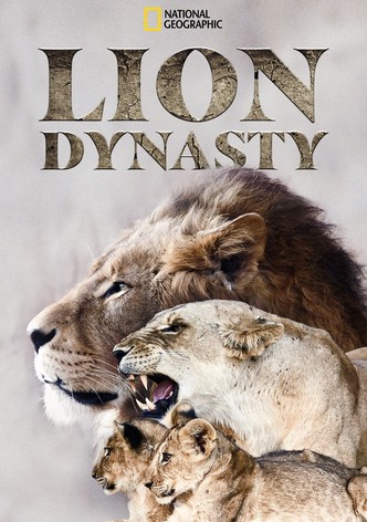 Lion Dynasty: A Matter of Pride
