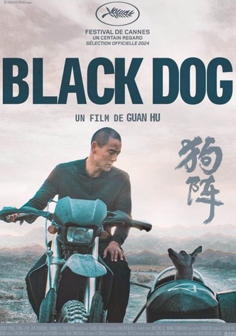 Black Dog