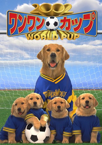 2002 ワンワンカップ