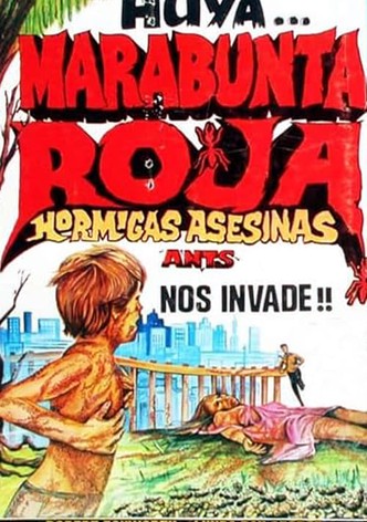 Hormigas