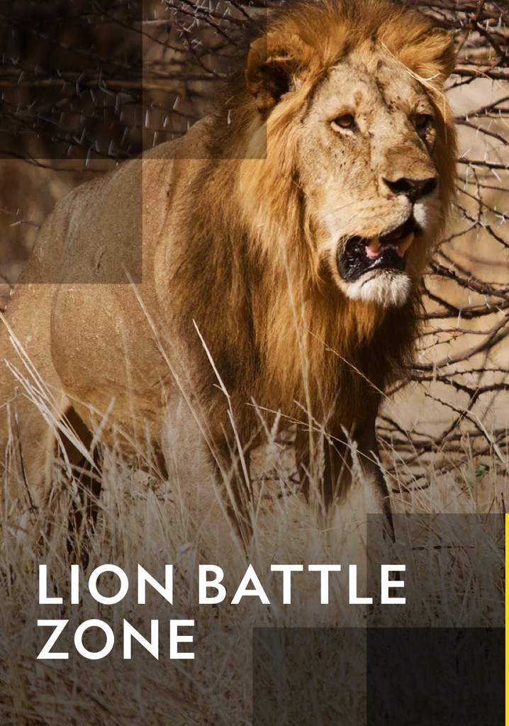 Lion Battle Zone