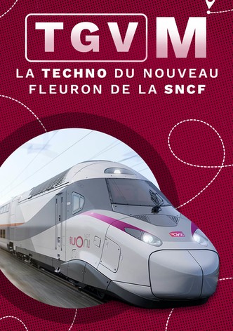 TGV M : La Techno du nouveau fleuron de la SNCF
