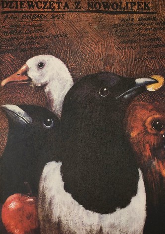 Dziewczęta z Nowolipek