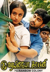 7G Rainbow Colony