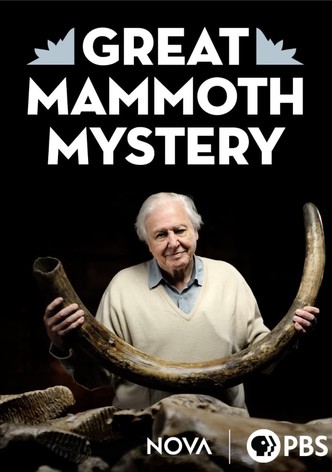 Great Mammoth Mystery