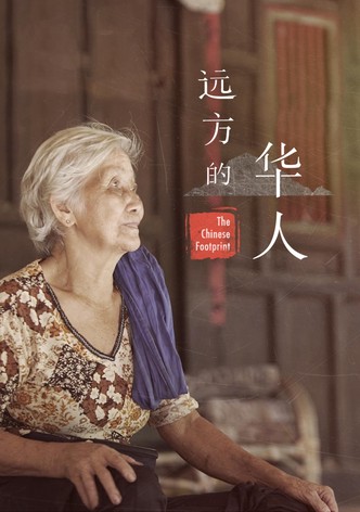 The Chinese Footprint