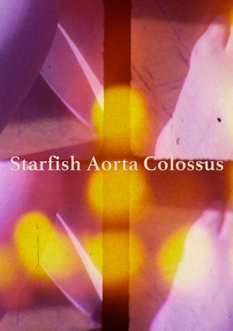 Starfish Aorta Colossus