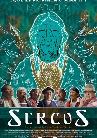 Surcos