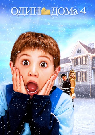 Один дома 4