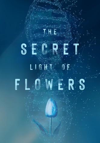 Das geheime Licht der Blumen