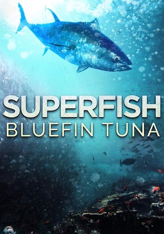 Superfish: Bluefin Tuna