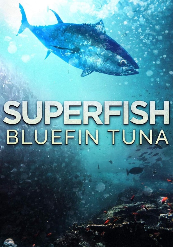 Superfish: Bluefin Tuna