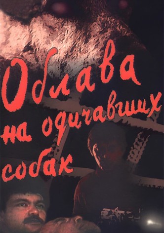 Облава на одичавших собак