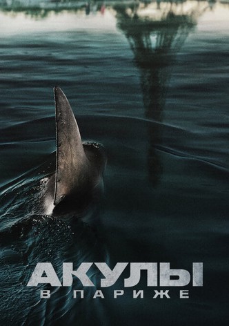 Акулы в Париже