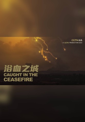 Caught in the ceasefire