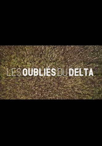 Les oubliés du Delta