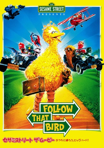 おうちに帰ろう、ビッグバード！