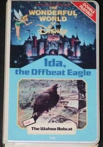 Ida, the Offbeat Eagle