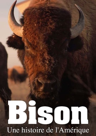 Bison : une histoire de l'Amérique