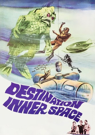 Destination Inner Space