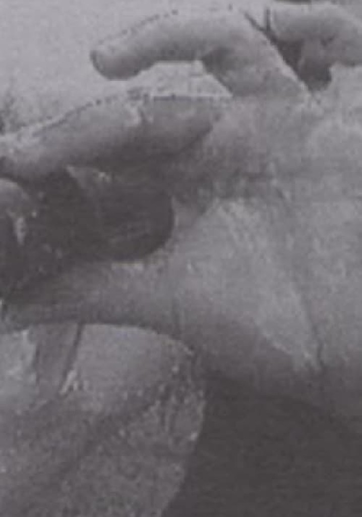 Luna 10 (The Butterfly Effect of Geography)