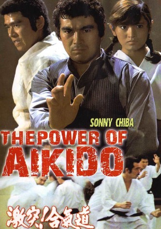 The Power of Aikido