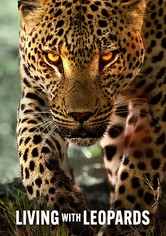 Viver com os Leopardos