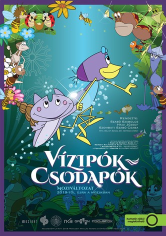 Vízipók-csodapók