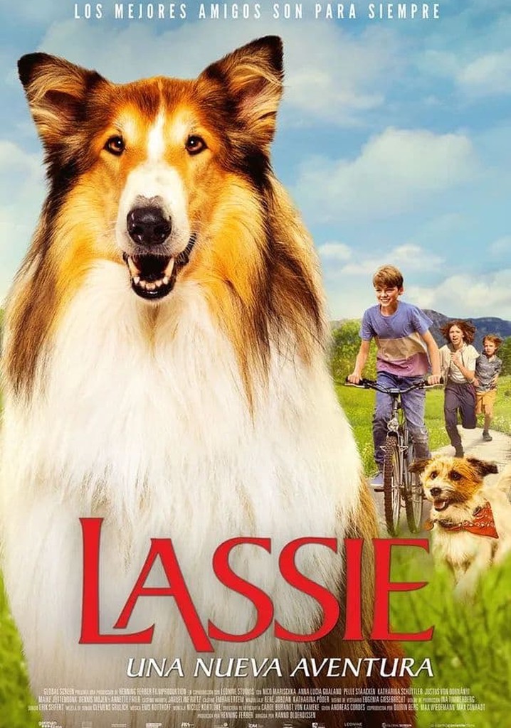 Lassie Una Nueva Aventura Película Ver Online 4015