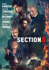 Section 8