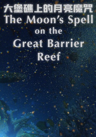 大堡礁上的月亮魔咒