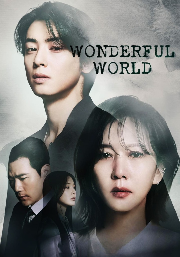 Wonderful World Season 1 - watch episodes streaming online