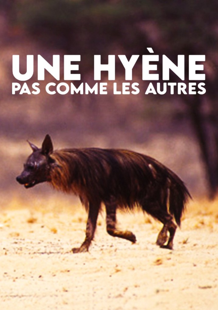 A Hyena like No Other