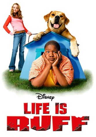 Gut gebellt ist halb gewonnen