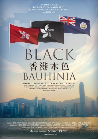 香港本色