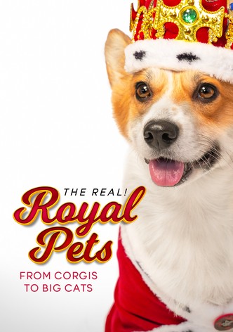 The Real! Royal Pets: From Corgis to Big Cats