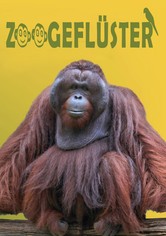 Zoogeflüster