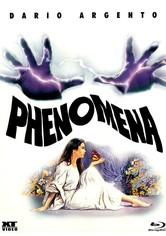 Phenomena