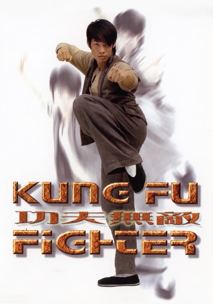 Kung Fu Fighter