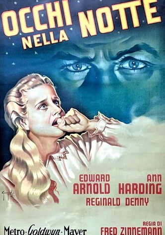 Occhi nella notte